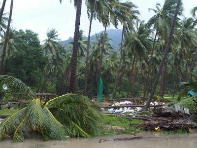 เกาะเต่า